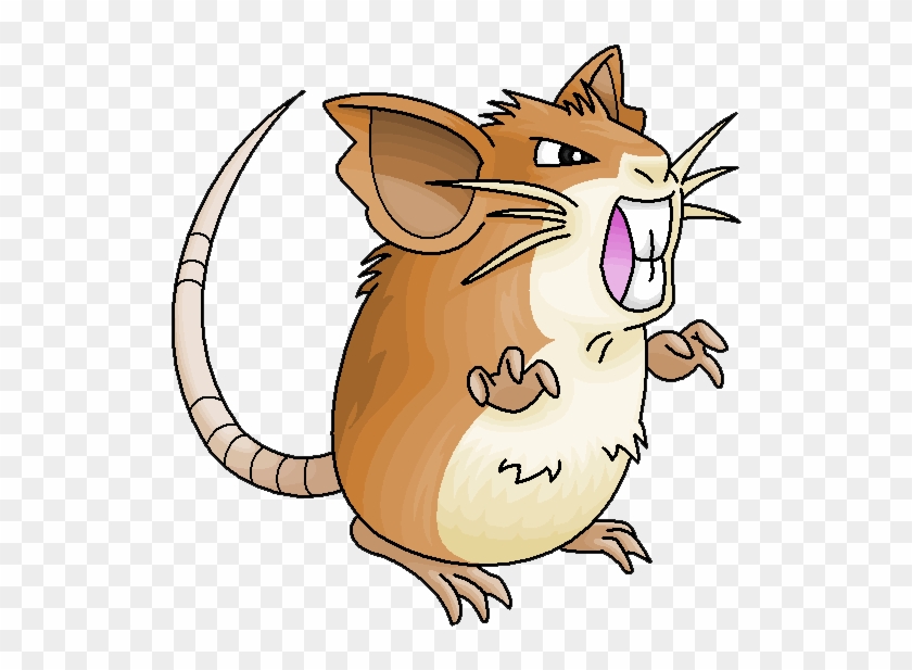 020 Raticate By Ninjendo - Raticate Transparent #939617
