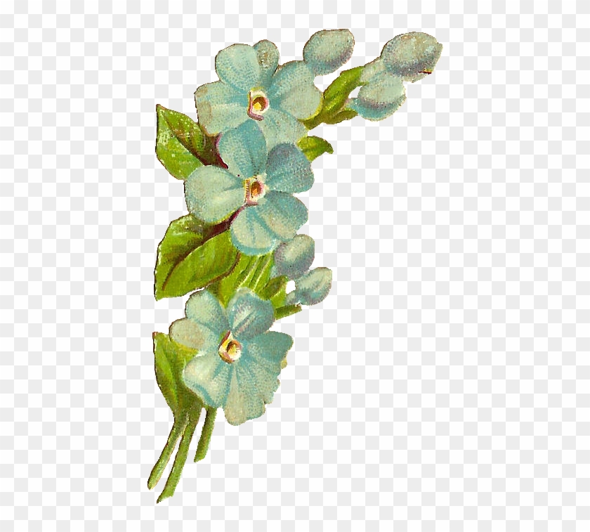 Vintage - Clip Art #940222