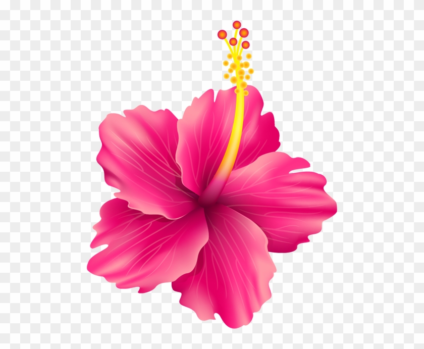 卡通手绘花 - Vector Graphics #940959