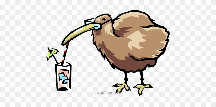 Kiwi Vogel Vektor Clipart Bild - Kiwi Vogel Vektor Clipart Bild #940962
