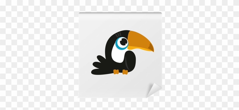 Toucan #941597