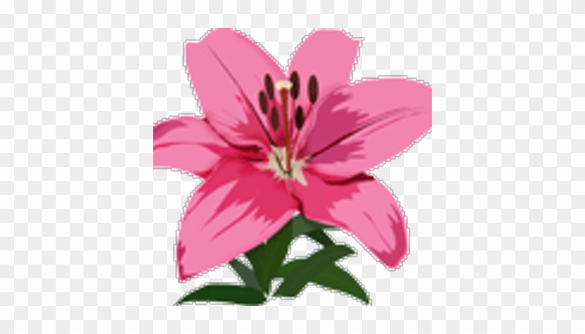 Ruby - Lily #942194