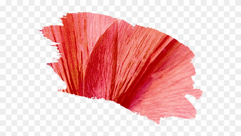 Lily - Lily #942330