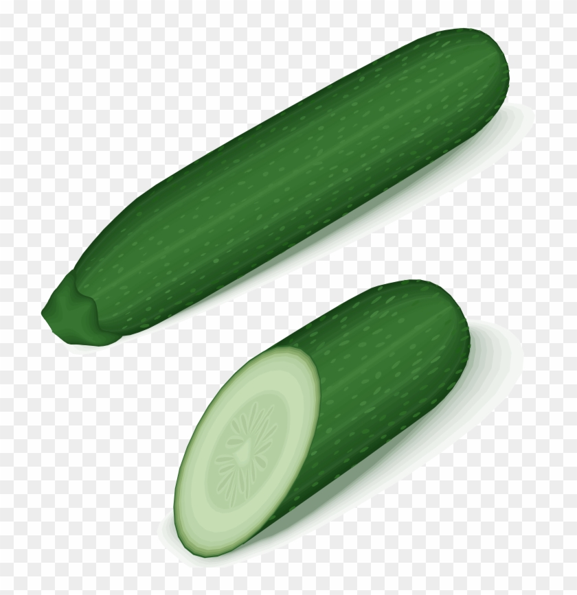 Medium Image - Zucchini Clipart Png #943231