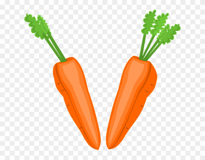 Carrot, Cut, Greens, Half, Hearty - Stock.xchng #943678
