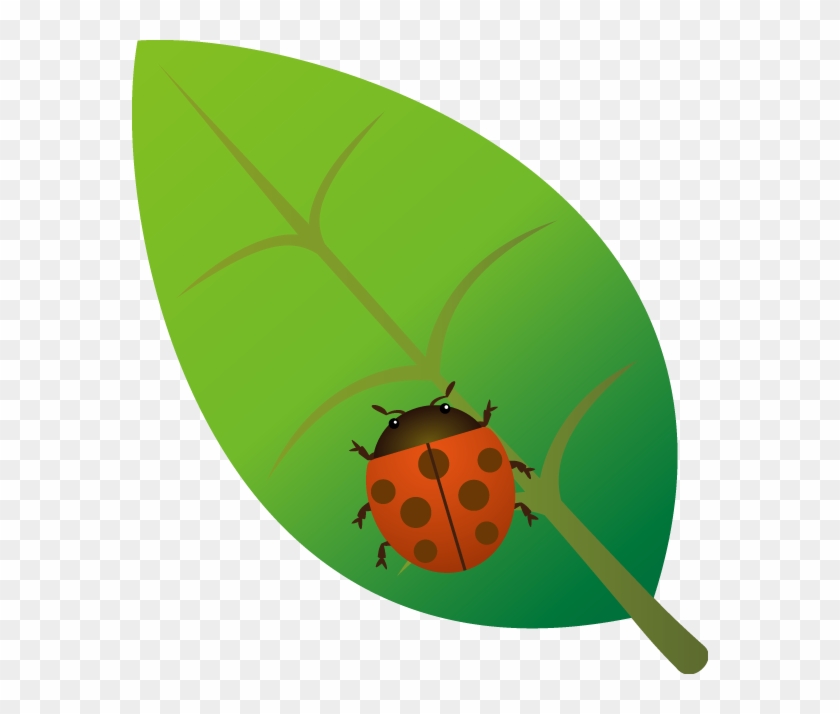 テントウムシno06テントウムシイラスト - Ladybug #946784