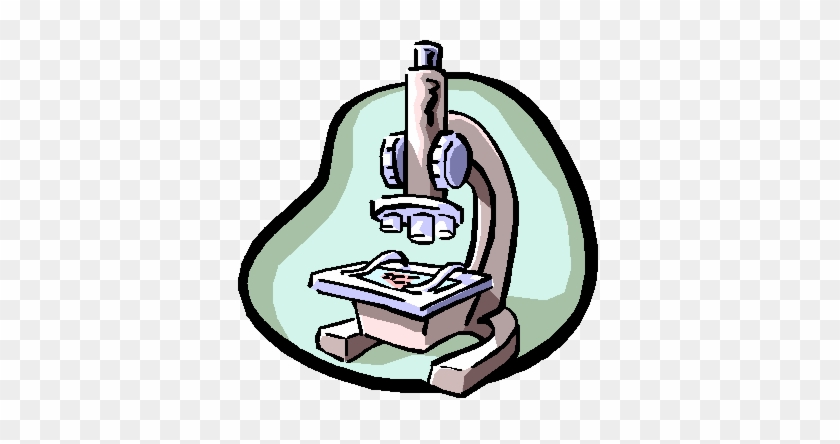 Microscope Clipart Free Download Clip Art On Wikiclipart - Science Et Vie De La Terre 3ème #947118