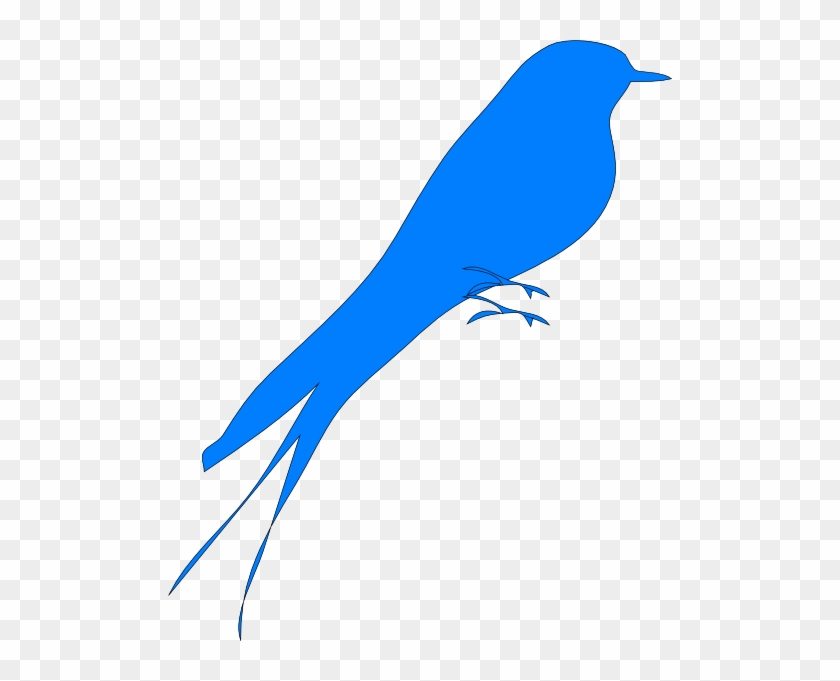 Bird #947607