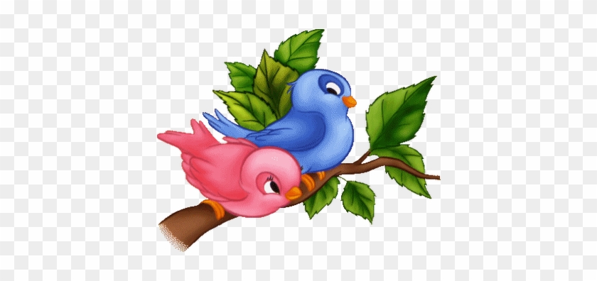Passarinhos - Animation Pictures Of Birds #947613