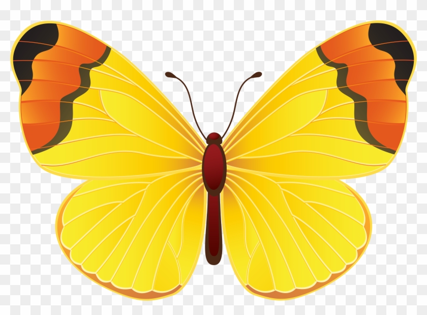 Yellow Butterfly - Large Copper #947912