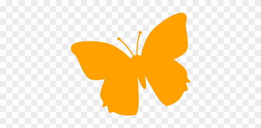 Our Products - Brush-footed Butterfly #947929