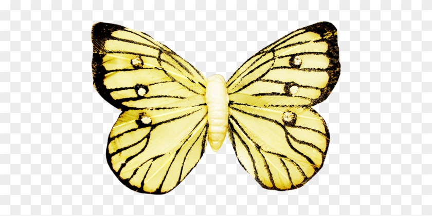 Yellow Butterflies - Pieridae #947931