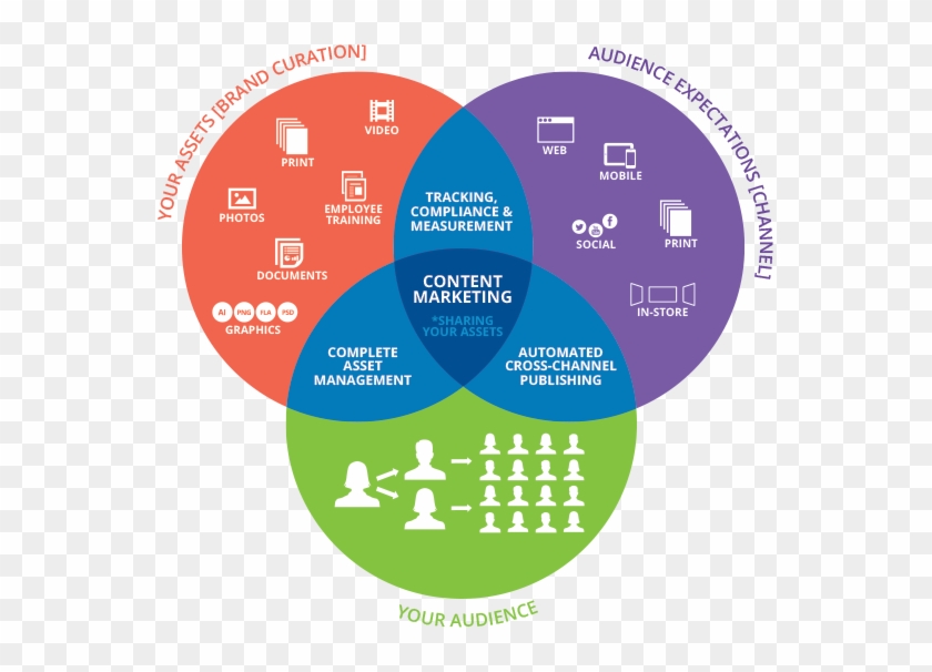 Branding Solutions Lanzarote, Web Design & Web Development - Diagram #948463