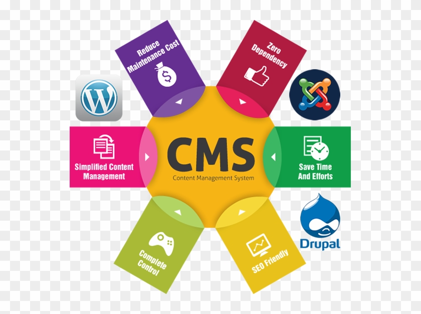 Content Management System Based Website Packages - Content Management System Trend #948553