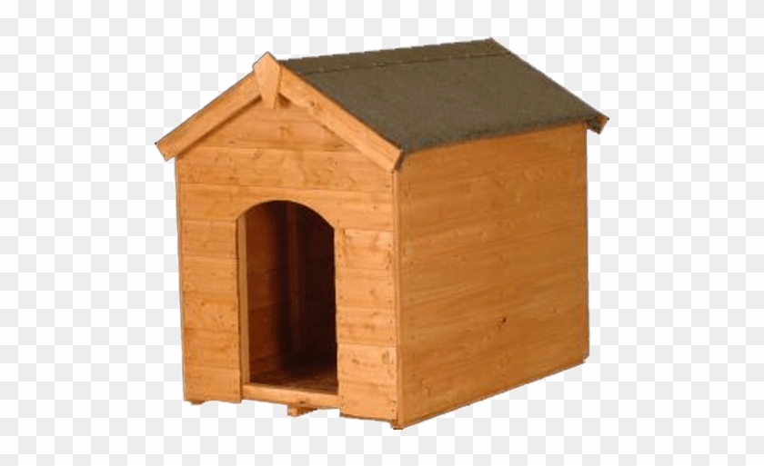 Dog #949170