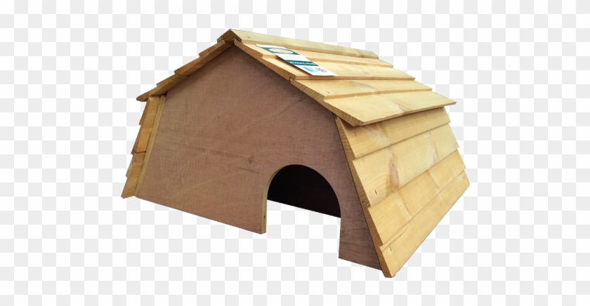 Roof #949194