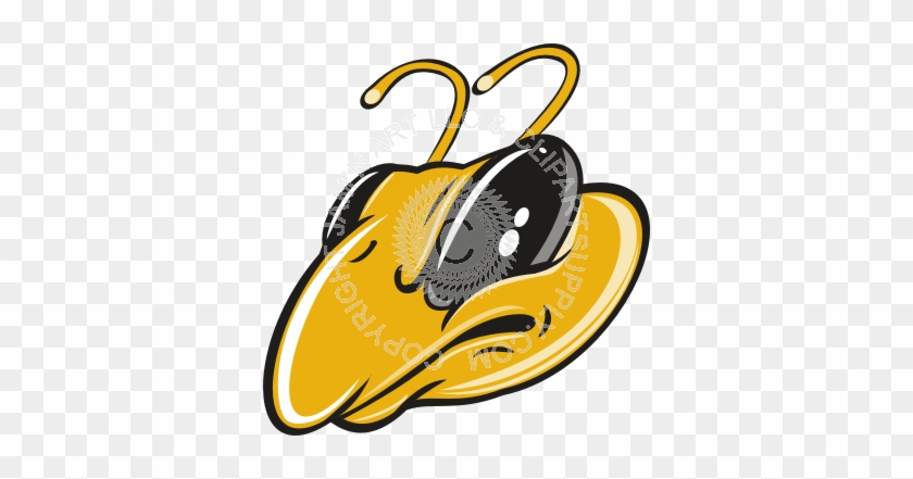 Bee Head With Big Eyes - Cartoon Bee Head #950132