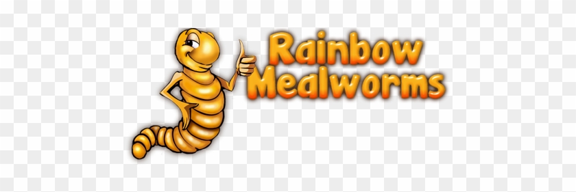 Rainbow Mealworms - Rainbow Mealworms #950376