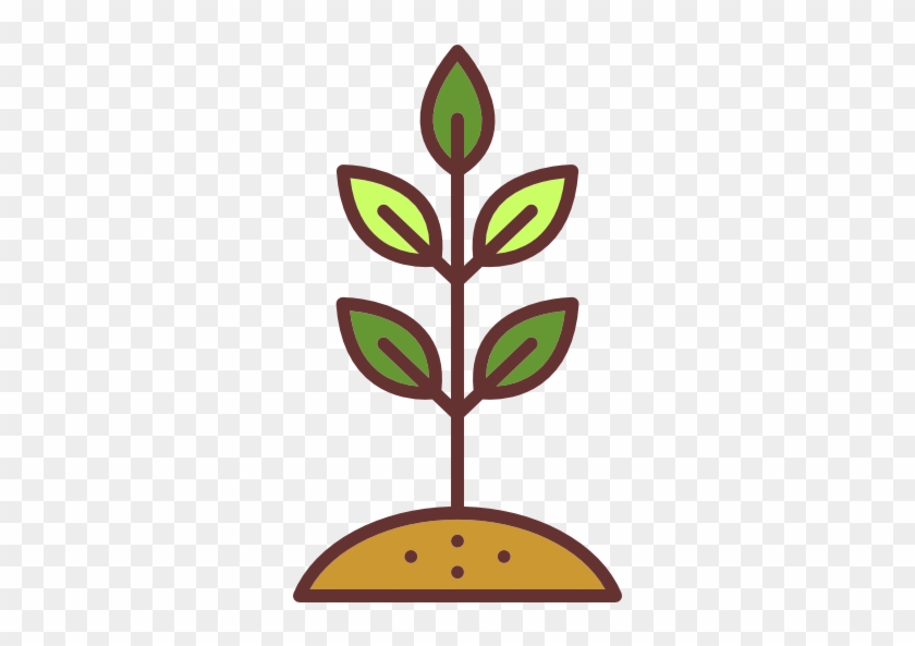Soil Preparation - Growing Seed Png #951190