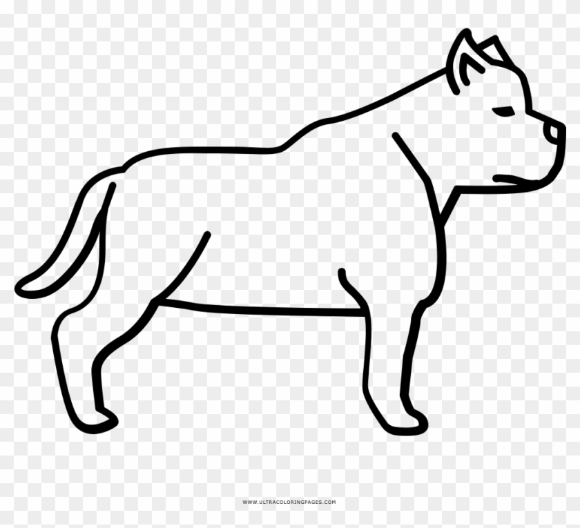 Dibujo De Pitbull Para Colorear - Pitbull Para Colorir #951372