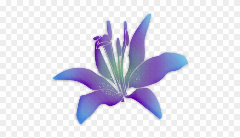 Ð¦ð²ðµñ‚ñ‹ Ð¦ð²ðµñ‚ð¾ðº Ð¤ð¸ð¾ð - Flor De Íris Png #951460