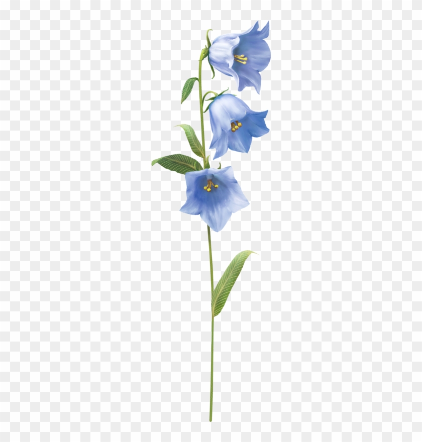 Яндекс - Фотки - Clip Art #951478