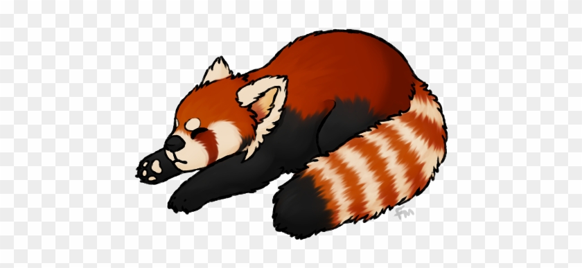Red Panda Png - Red Panda No Background #171260