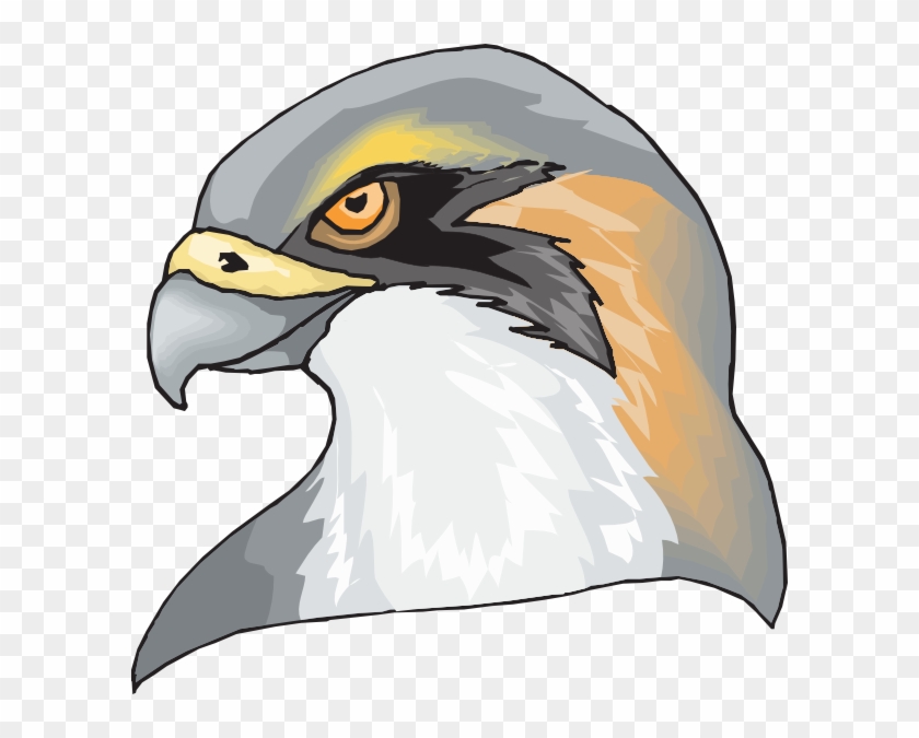Hawk Head Clip Art At Clker Com Vector Online Royalty - Your Limit Beach Towel #171535