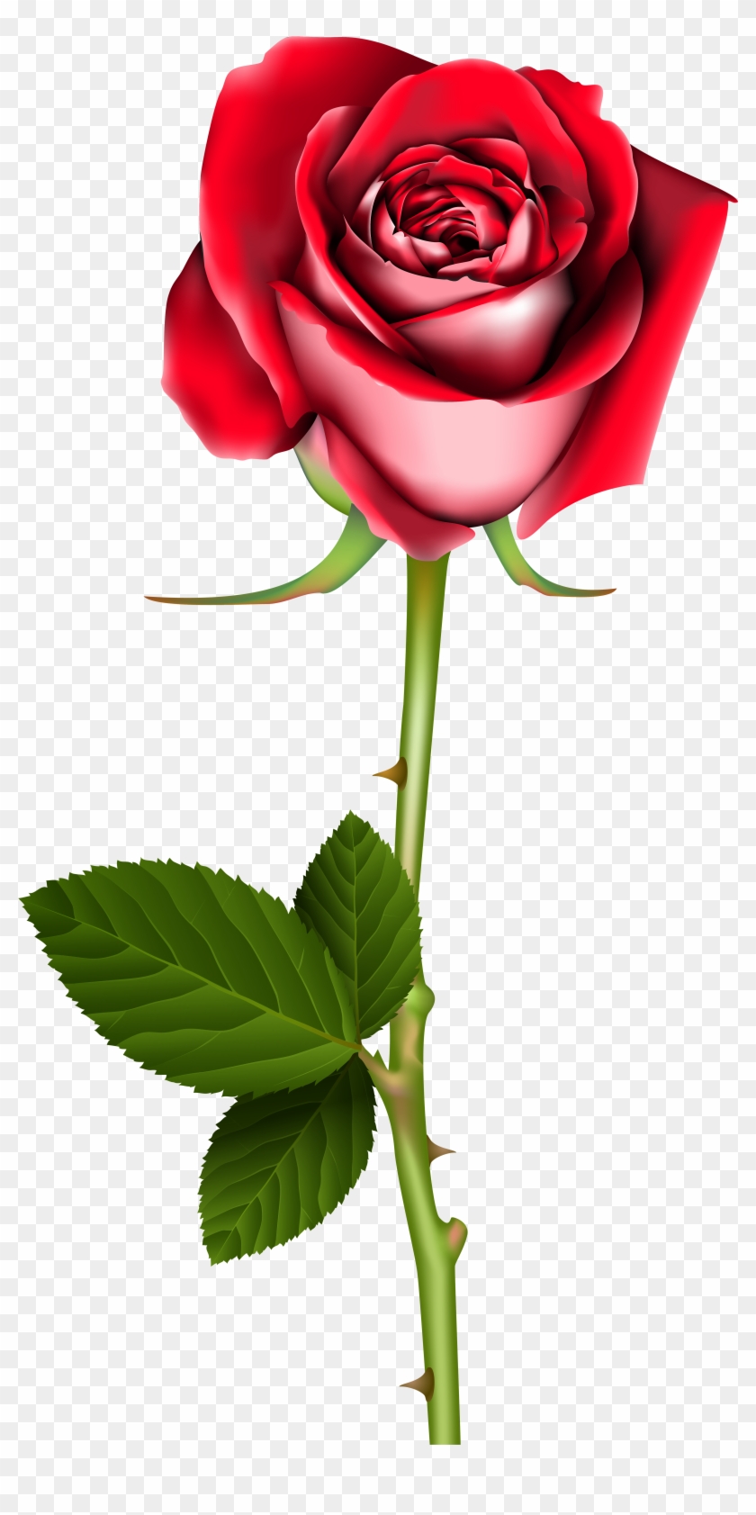 Rose Png Clip Art - Rose Png Clip Art #172475