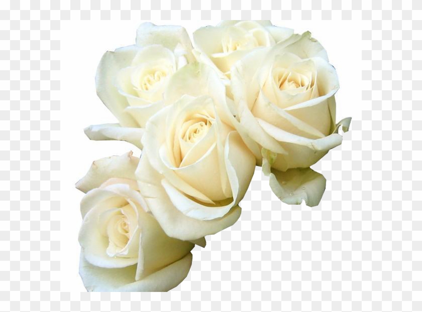 Rose White Flower Bouquet Green Wallpaper Five White - Good Morning White Roses Hd #951724