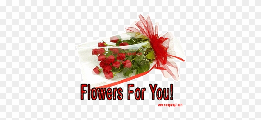 Beautiful Rose - Beautiful Rose #953091