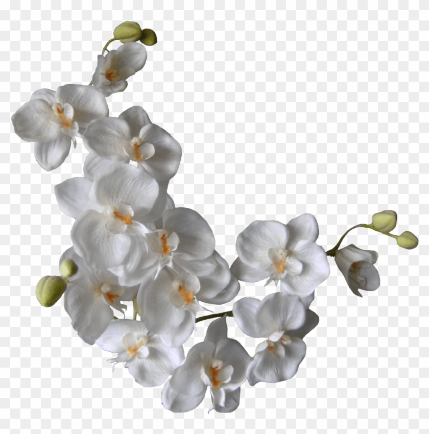 Artificial Flower #953119