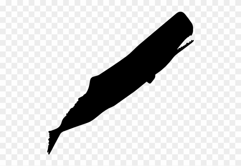 Sperm Whale Clipart Sketch - Vector Sperm Whale #953591