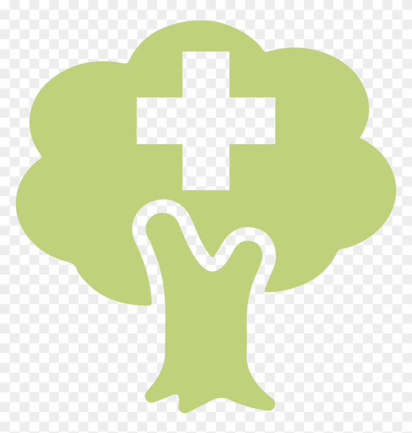 Medicine Clipart Nature's - Clip Art #953797