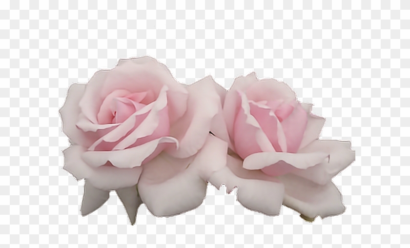 Pastel Pink Png #953848