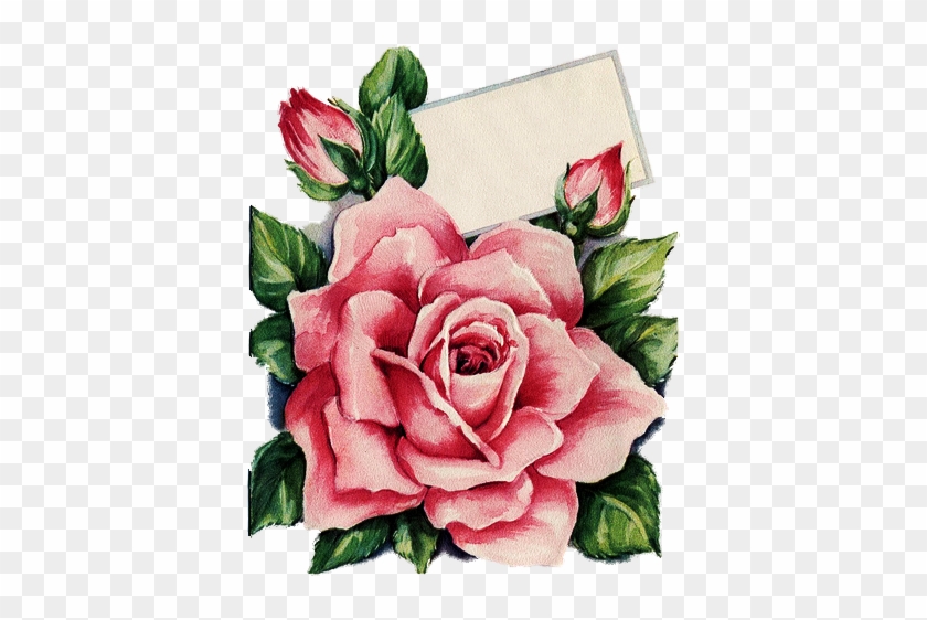 Birthday Rose With Card 402×500 Pixels - Rose Tea Rose Flower Floral Necklace Jewelry Gardening #954543