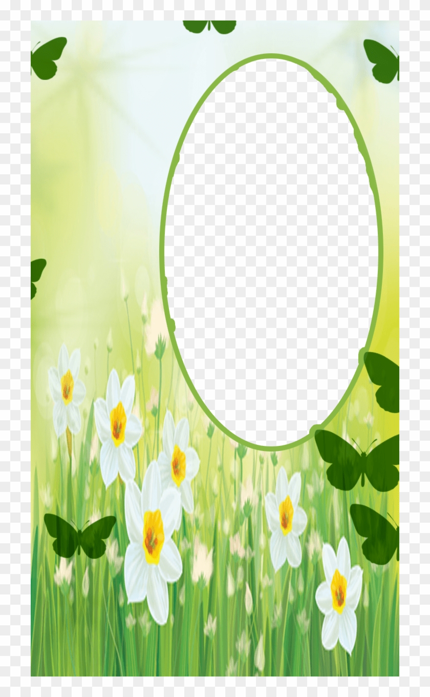 Flower #955040
