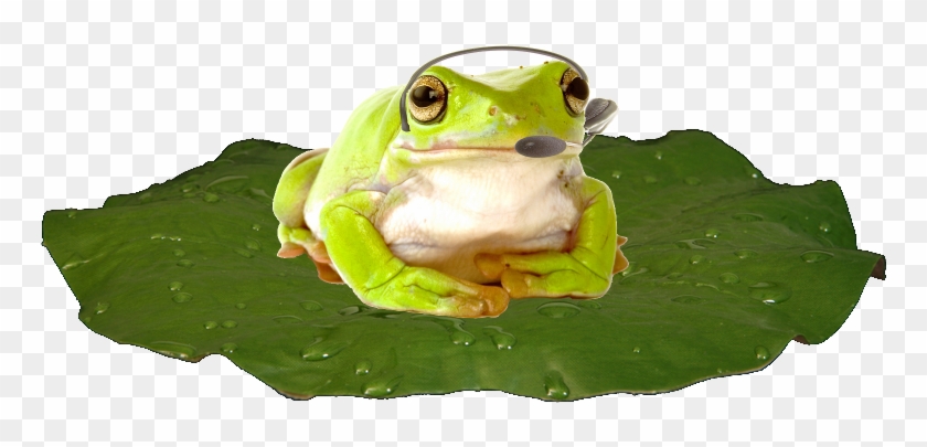 Mail - - Frog #958829