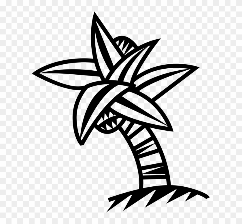 Vector Illustration Of Arecaceae Palm Tree With Coconuts - Vector Illustration Of Arecaceae Palm Tree With Coconuts #959496