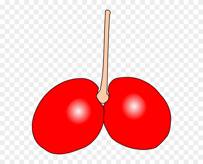 Cherry #959864