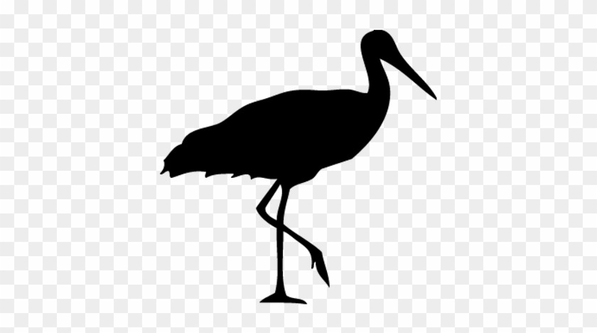 Stork Transparent Background #961060