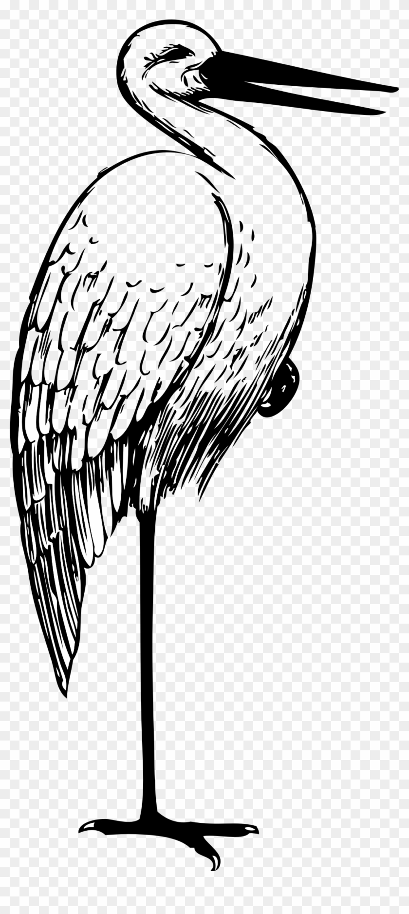 Big Image - Stork Clipart Black And White #961067
