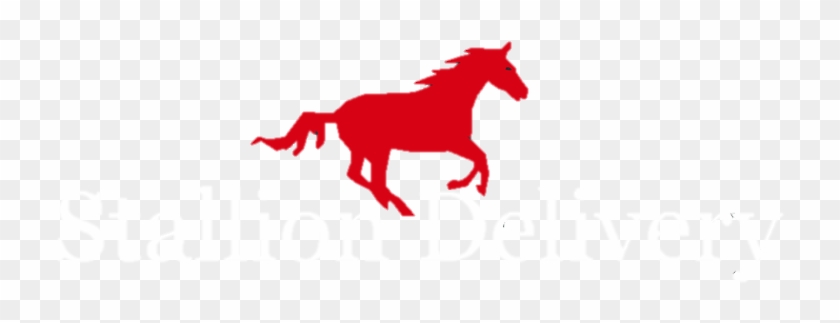 Stallion #961129
