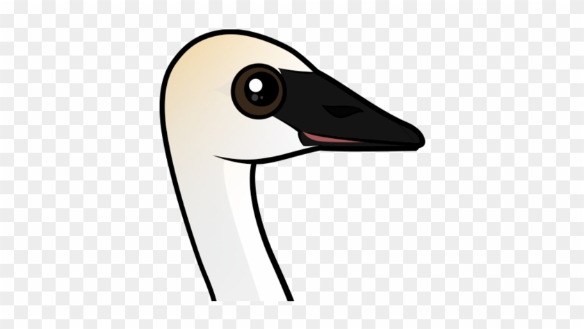 About The Trumpeter Swan - Cartoon #961169