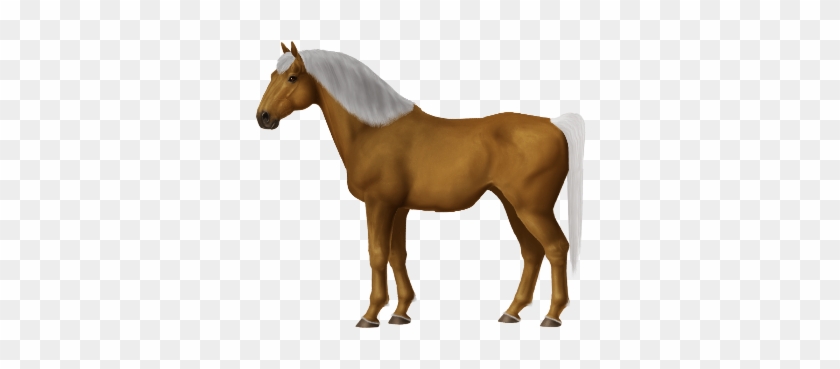 Palomino Standardbred Colt - Horse #961411