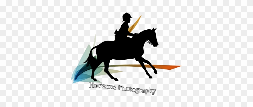 Platinum Sponsors - Silhouette #961881