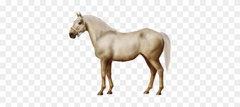 Active Horses - Horse #962383