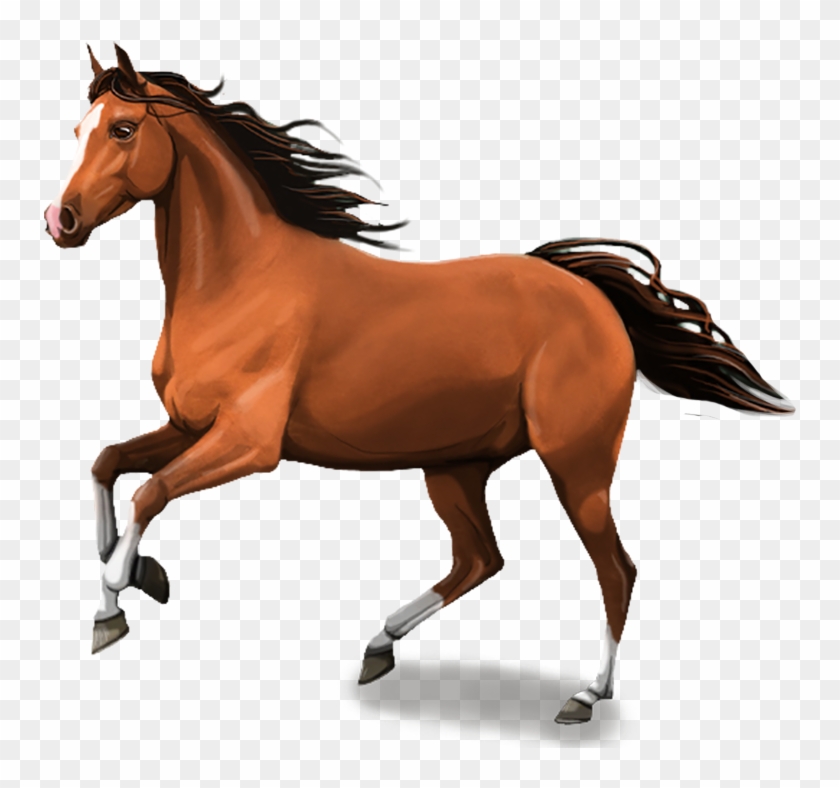 And While Doing This You Learn How To Care For Your - Horse Png #962395