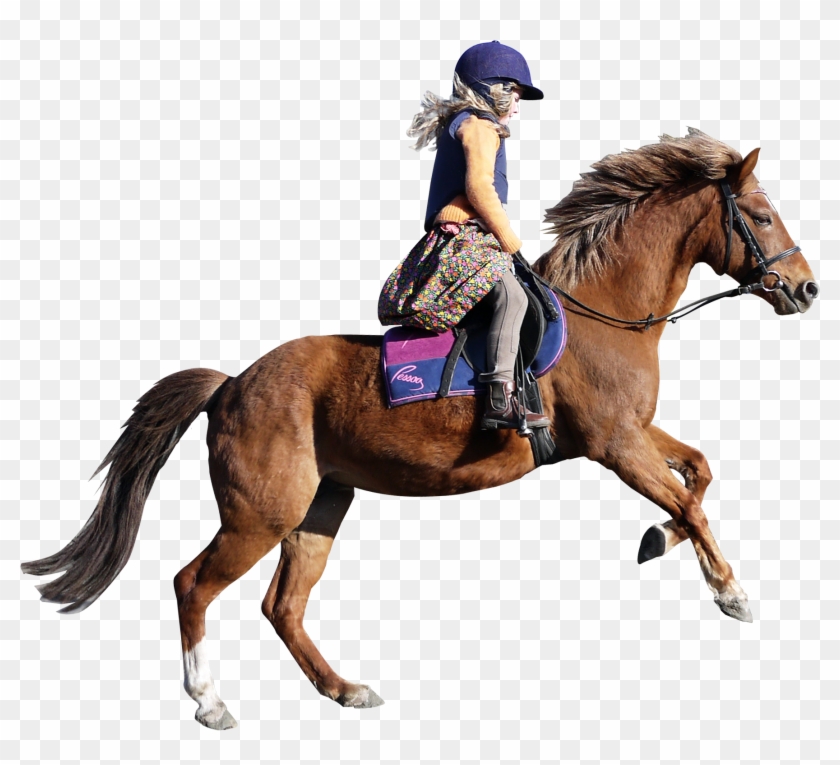   Horse #964470