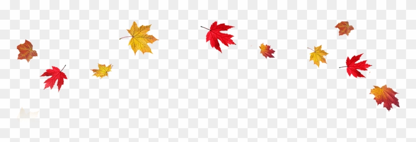 Fall Leaves Border Png #964478